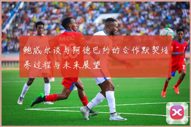鲍威尔谈与阿德巴约的合作默契培养过程与未来展望