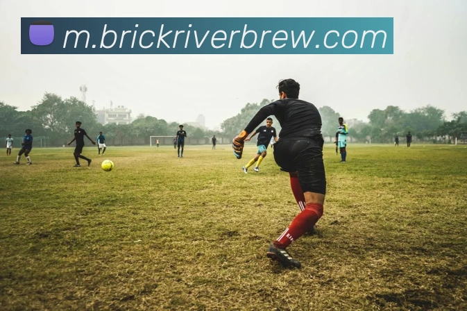 leyu乐鱼手机官网进入品牌故事